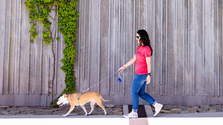 Woman walking dog in Scottsdale, AZ