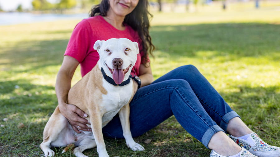 Photo Gallery VCA Hospitals Urgent Care Phoenix, AZ