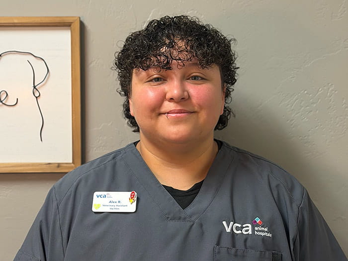 Alex Staff Photo