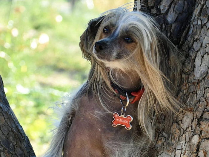 Amanda C. Staff Photo