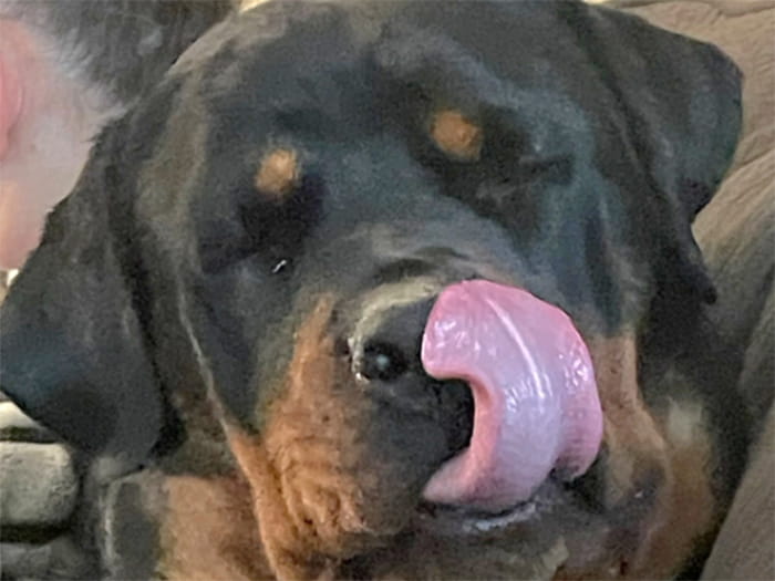 Robin P. Staff Photo