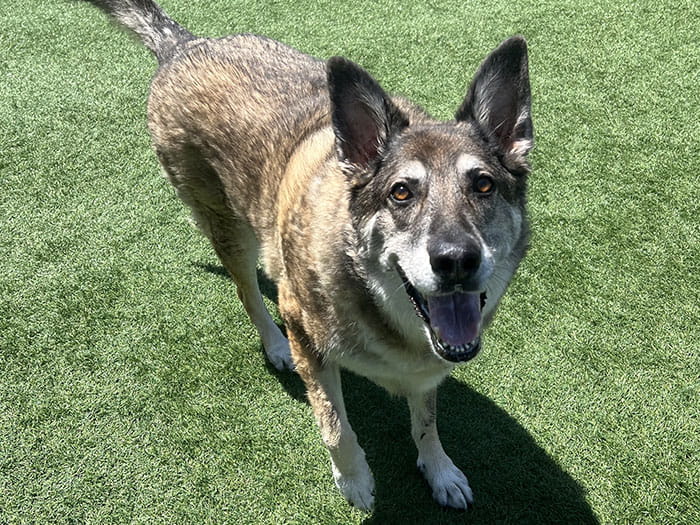 Robyn V. Staff Photo