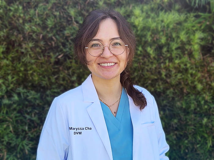 Dr. Maryssa Cha Staff Photo
