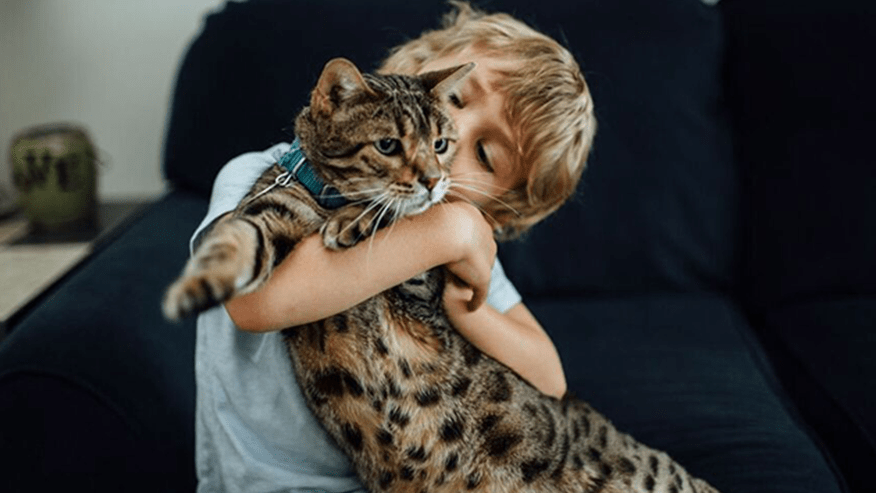 876x493 adobe ca ParasiteControl