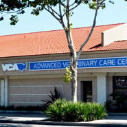 /-/media/2/vca/images/hospitals/united-states/california/advanced-veterinary-care-center-ca/galleries/185x185_map_advanced-veterinary-care-center.ashx