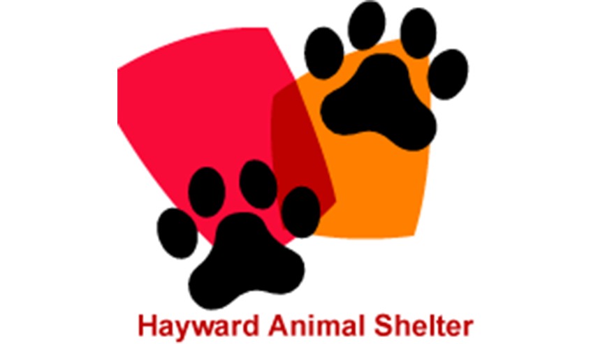Hayward Animal Services