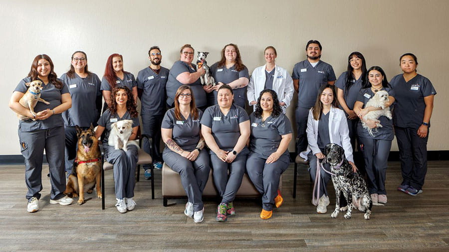 VCA All About Pets Animal Hospital Team