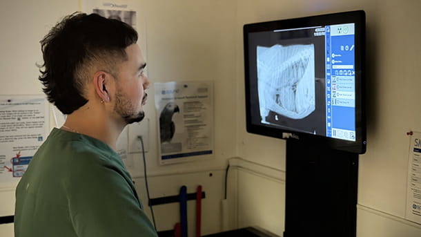 Veterinary staff looking at a digital X-ray