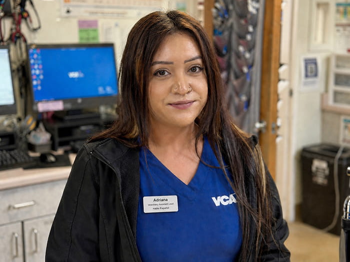 Adriana Staff Photo