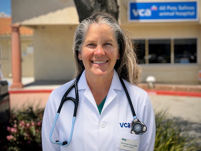 Dr. Anndrea Fling Staff Photo