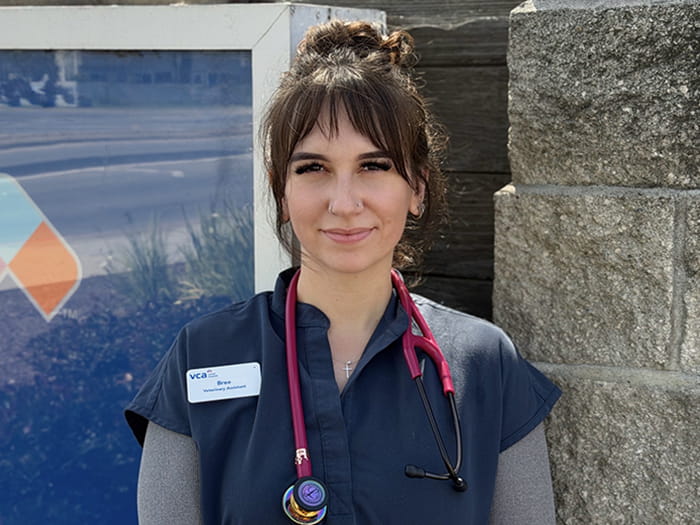 Bree Staff Photo