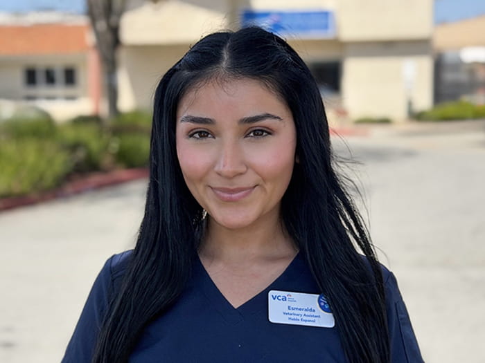 Esmeralda Staff Photo