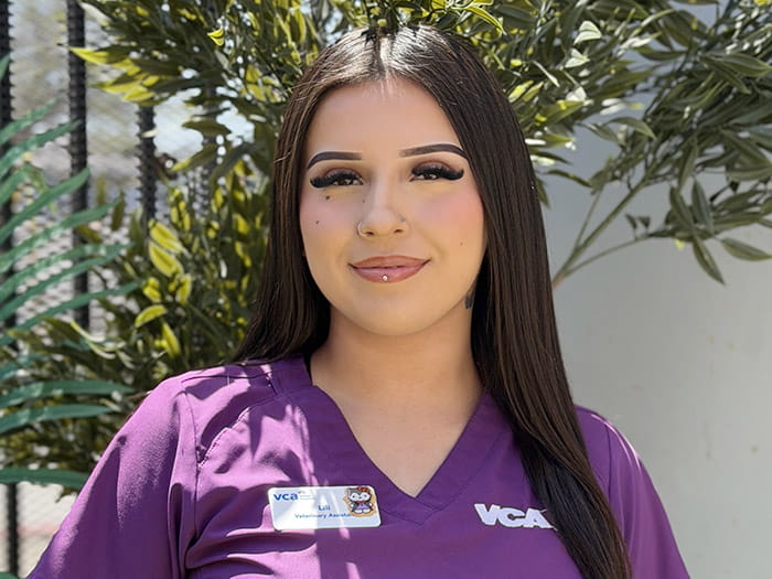 Lili Staff Photo