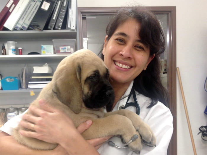 VCA Animal Hospital of Cotati Staff Page