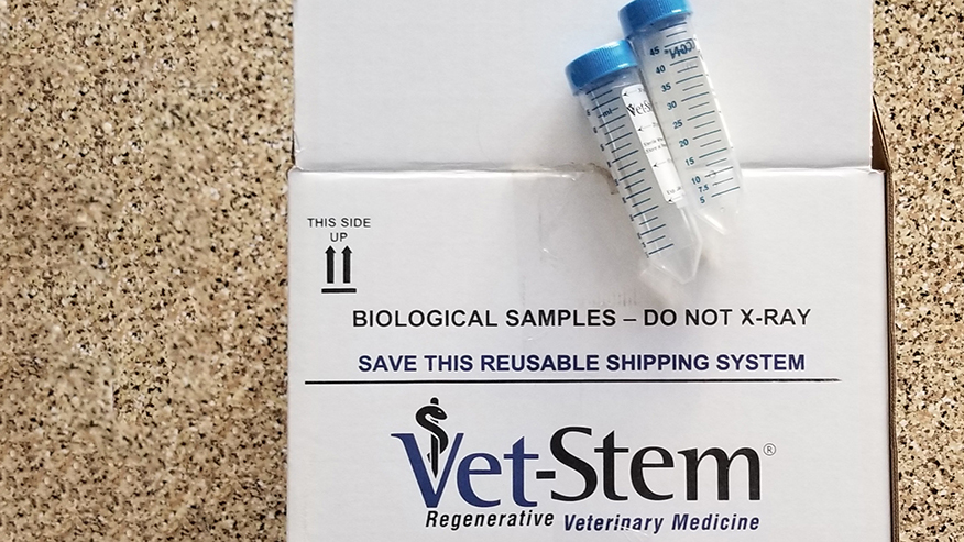 VetStem Stem Cell Therapy