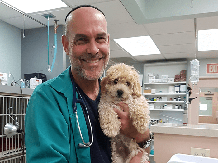 VCA Animal Medical Center Staff Page