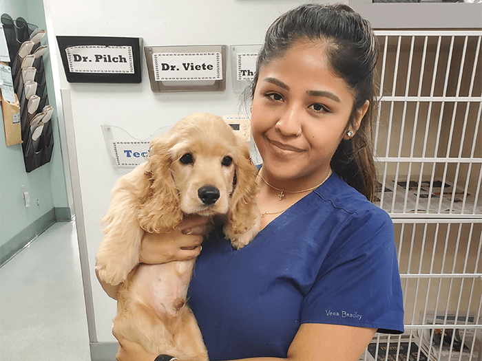 VCA Animal Medical Center Staff Page