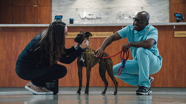 Veterinary staff with client and their pet