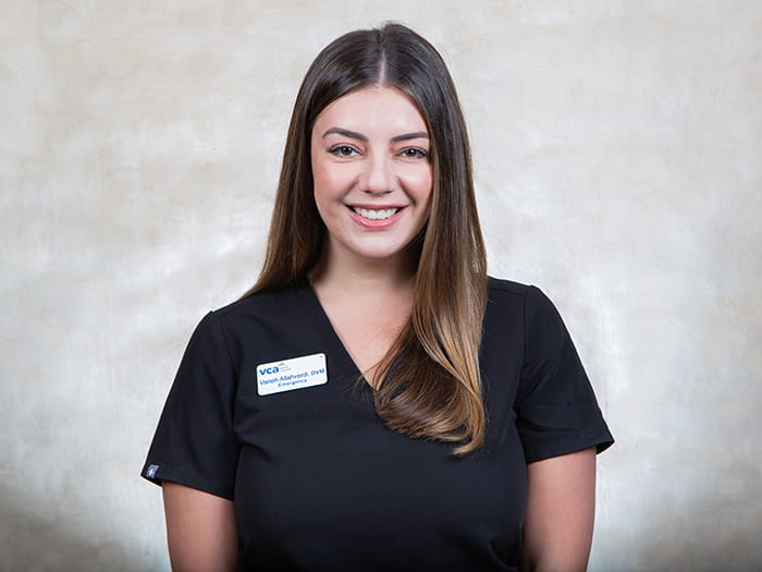 Dr. Vaneh Allahverdi Staff Photo