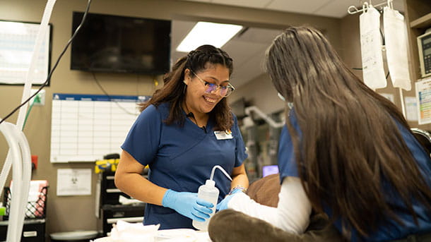 VCA Animal Specialty Group veterinary team with dog