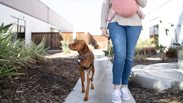 Woman walking a dog and holding a baby in a carrier
