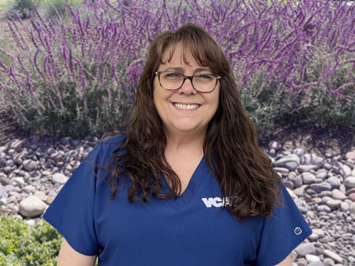 Diagnostic Imaging | VCA Animal Specialty Group