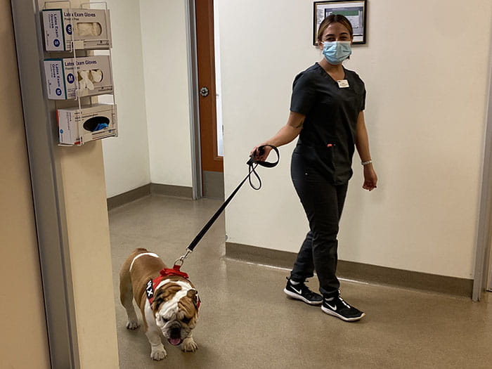 VCA Bakersfield Animal Hospital Staff Page