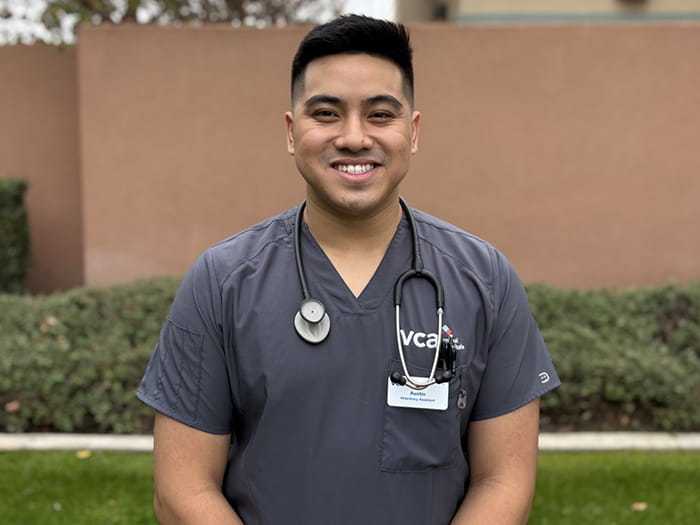 Austin Yatco Staff Photo