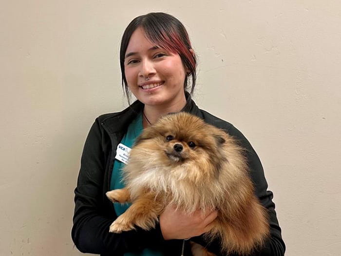 VCA Bakersfield Animal Hospital | Staff Page