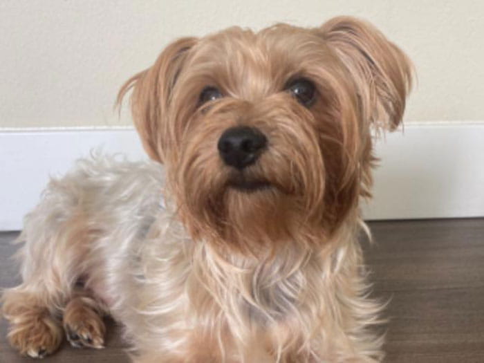 Caroline Staff Photo