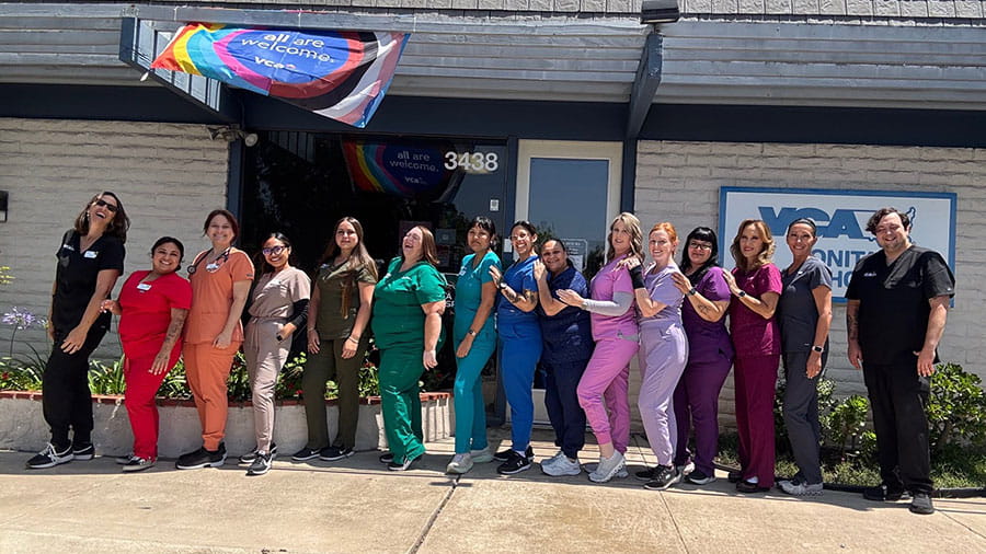 VCA Bonita Animal Hospital Team