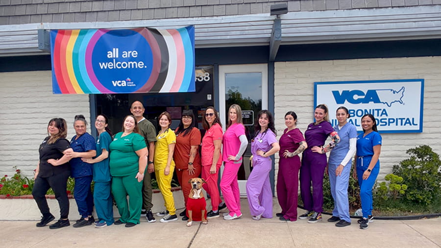 VCA Bonita Team Photo