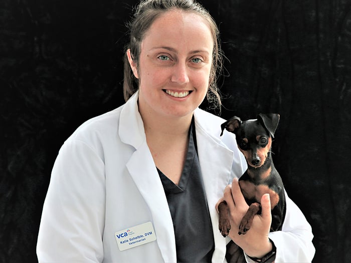 Dr. Katie Scheible Staff Photo
