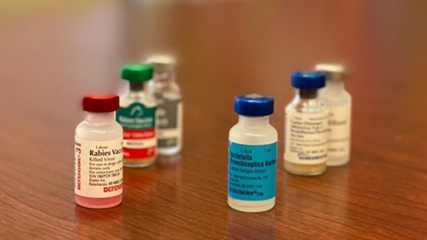 Vaccinations Photo California Oaks