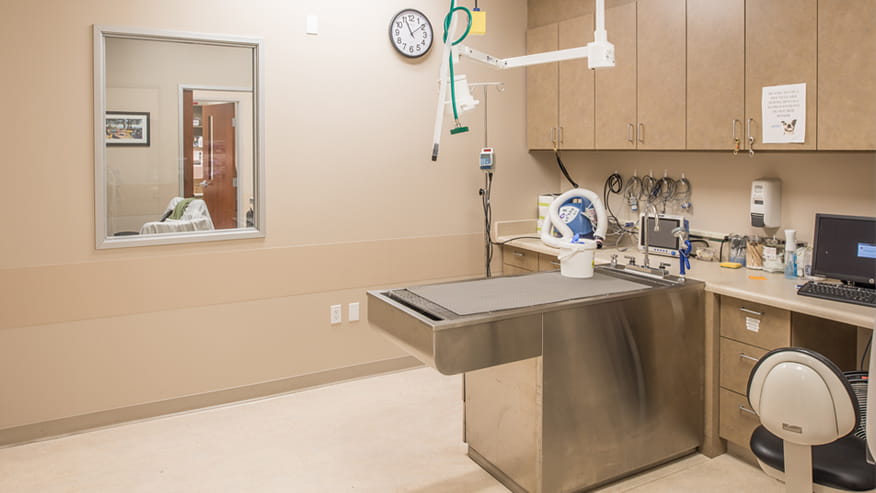 VCA California Oaks Dental Room