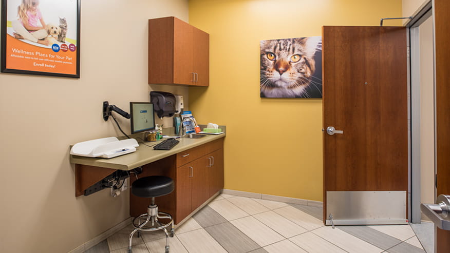 VCA California Oaks Exam Room