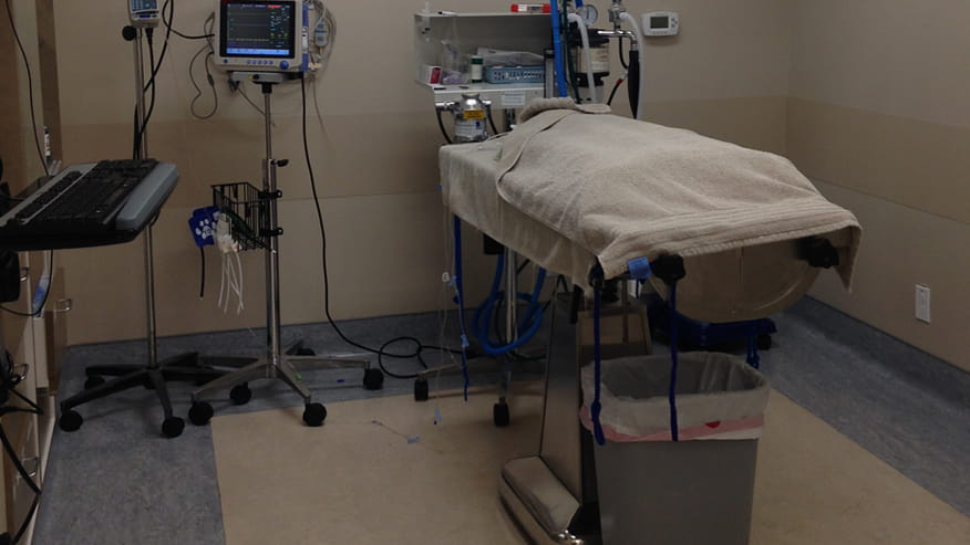 VCA California Oaks Surgery Suite