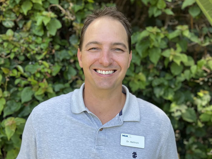 Dr. Nicholas Helfrich Staff Photo