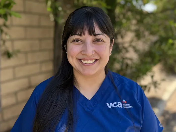 Veterinary Neurology for Dogs & Cats | VCA CVS Ontario — Neurology clinic in Ontario, CA — photo 3