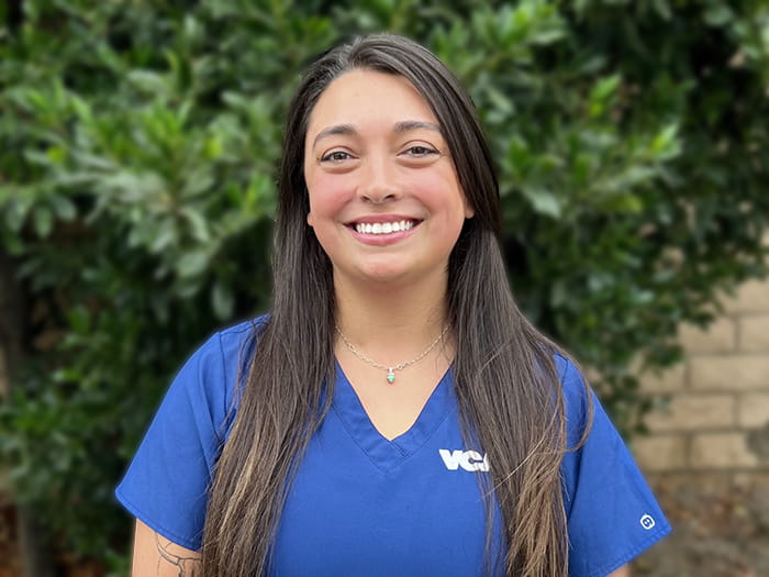 VCA California Veterinary Specialists Ontario Staff Page