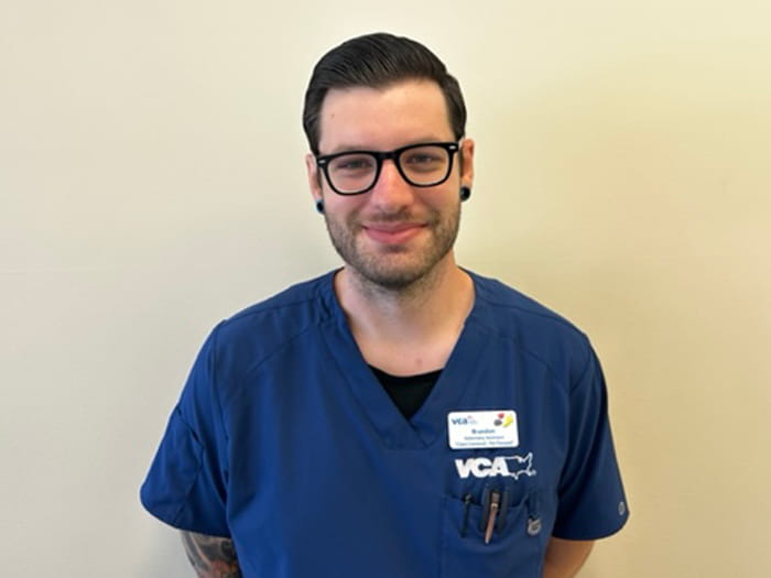 VCA Camino Animal Hospital | Staff Page