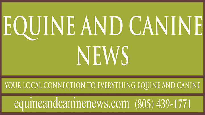 Equine and Canine News