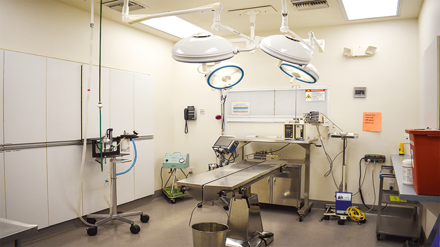 Routine Surgeries at Central