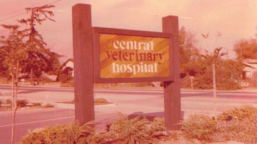 VCA Central Animal Hospital Original Sign