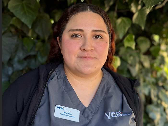 Angelica Staff Photo