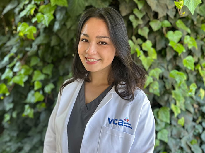 Dr. Ivana Satre Staff Photo