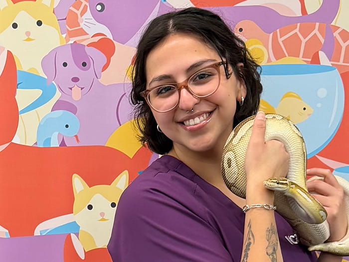 700x525_desert_DestinySegura