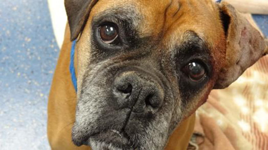 876x493 encina adult and senior wellness