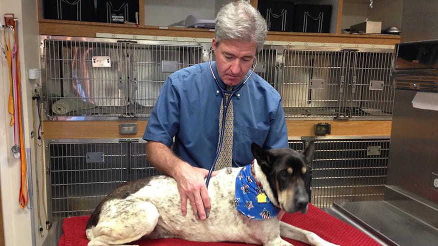 876x493 encina oncology