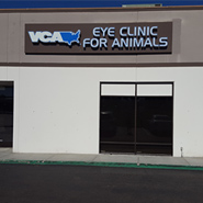 /-/media/2/vca/images/hospitals/united-states/california/eye-clinic-for-animals/galleries/185x185_eyeclinicca_hospital2.ashx